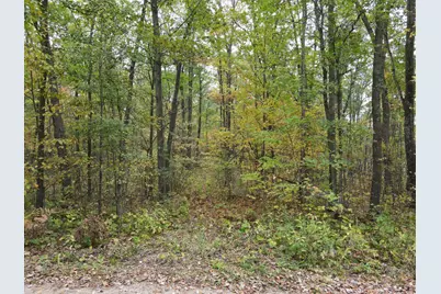 Tbd Red Oak Drive, Garrison, MN 56450 - Photo 27