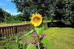 95 Colorado Street W, Saint Paul, MN 55107 - Photo 81