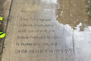 95 Colorado Street W, Saint Paul, MN 55107 - Photo 59