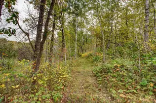 851 E Blueberry River Dr, Menahga, MN 56464 - Photo 49