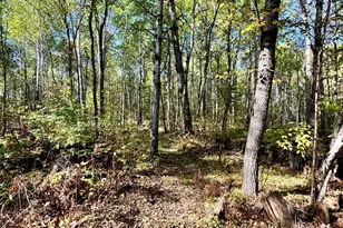 4125 94th Ave NW, Roosevelt, MN 56673 - Photo 23