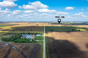 7775 750th Ave, Tintah, MN 56583 - Photo 75