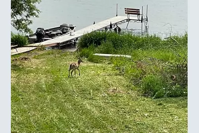 66441 Island Lake Lane, Northome, MN 56661 - Photo 5