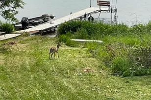 66441 Island Lake Ln, Northome, MN 56661 - Photo 5