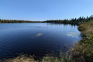 4136 W General Grade Rd, Finland, MN 55603 - Photo 5