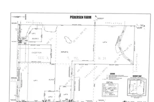 2Xx 280th St, Webster, MN 55088 - Photo 5