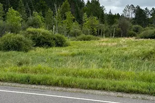 Tbd 150 Acres N Of Cross River Hall, Littlefork, MN 56653 - Photo 1