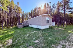 541 Wilderness Ave, Williams, MN 56686 - Photo 5