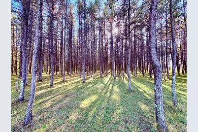 541 Wilderness Avenue, Williams, MN 56686 - Photo 31