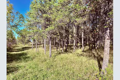 541 Wilderness Avenue, Williams, MN 56686 - Photo 23