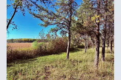 541 Wilderness Avenue, Williams, MN 56686 - Photo 25