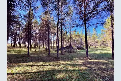 541 Wilderness Avenue, Williams, MN 56686 - Photo 21