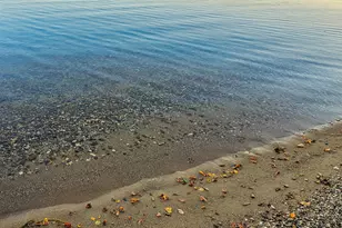 37791 Mallard Loop, Perham, MN 56573 - Photo 47