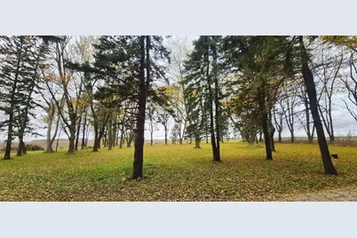 75863 305th Street, Racine Twp, MN 55967 - Photo 5