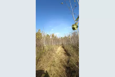 Tbd N 80 Town Rd 6, Northome, MN 56661 - Photo 1