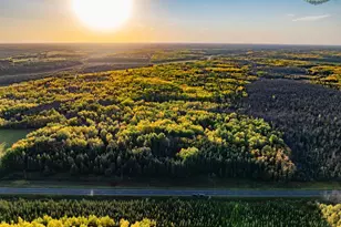 Tbd County Road 3, Ray, MN 56669 - Photo 1