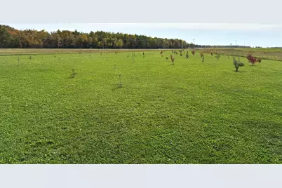 21136 State Highway 89, Grimstad Twp, MN 56751 - Photo 39