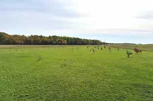 21136 State Hwy 89, Grimstad Twp, MN 56751 - Photo 39