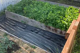 2403 Inca Ln, New Brighton, MN 55112 - Photo 51