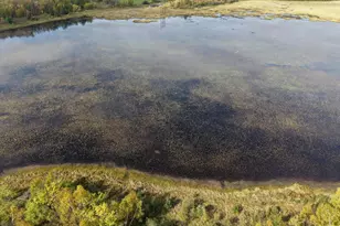 1430 Sumac Rd NE, Northern Twp, MN 56601 - Photo 47