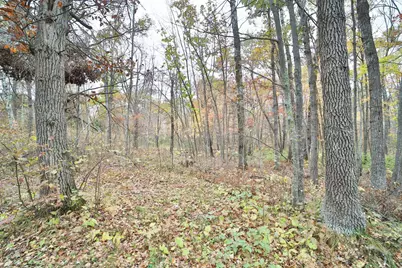 1022 Rock Elm Trail NW, Pine River, MN 56474 - Photo 5