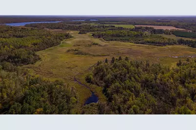Parcel #3 Tbd County 9, Becida, MN 56678 - Photo 11