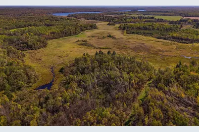 Parcel #3 Tbd County 9, Becida, MN 56678 - Photo 9
