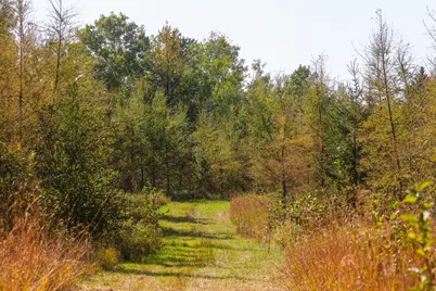 Parcel #3 Tbd County 9, Becida, MN 56678 - Photo 25