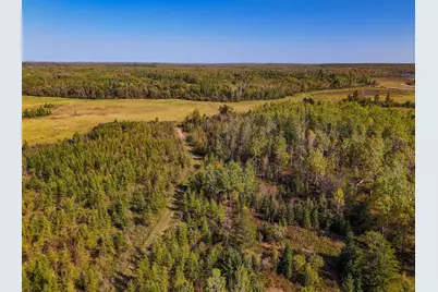 Parcel #3 Tbd County 9, Becida, MN 56678 - Photo 7