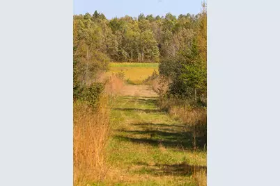 Parcel #3 Tbd County 9, Becida, MN 56678 - Photo 27