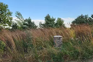 2051 120th St, Balaton, MN 56115 - Photo 21