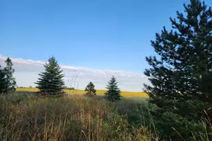 2051 120th St, Balaton, MN 56115 - Photo 27