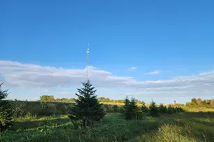 2051 120th St, Balaton, MN 56115 - Photo 37