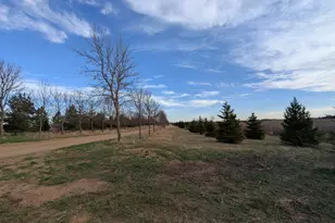 2051 120th St, Balaton, MN 56115 - Photo 49
