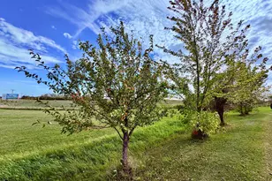 1401 State Hwy 11 SW, Baudette, MN 56623 - Photo 11