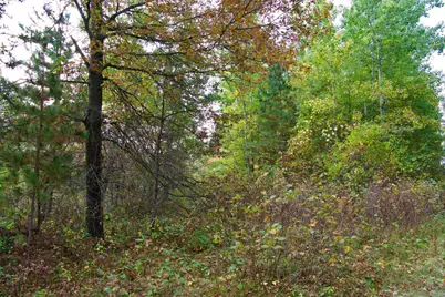 21.8 Acres Hwy 371, Brainerd, MN 56401 - Photo 7