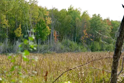 21.8 Acres Hwy 371, Brainerd, MN 56401 - Photo 9