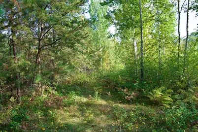 21.8 Acres Hwy 371, Brainerd, MN 56401 - Photo 11