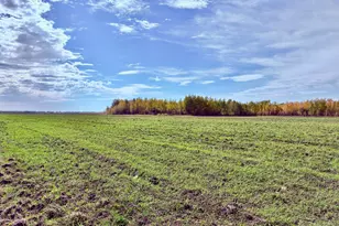 Tbd 13th Ave SW, Baudette, MN 56623 - Photo 1