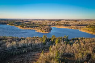 11347 Lupine Way NE, Turtle River, MN 56601 - Photo 91