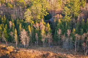 11347 Lupine Way NE, Bemidji, MN 56601 - Photo 85