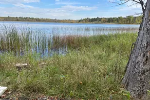 11347 Lupine Way NE, Bemidji, MN 56601 - Photo 69