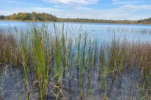 11347 Lupine Way NE, Bemidji, MN 56601 - Photo 73