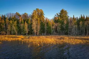 11347 Lupine Way NE, Bemidji, MN 56601 - Photo 5