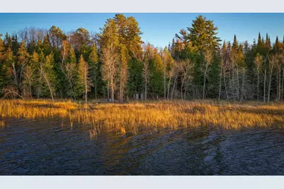 11347 Lupine Way NE, Turtle River, MN 56601 - Photo 5