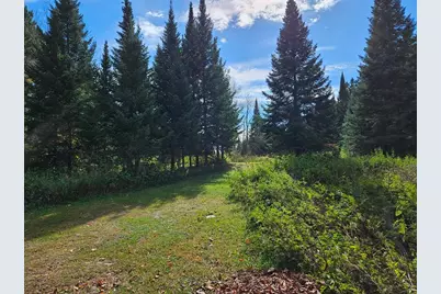 Lt 3 Blk 1 County Rd 238, Deer River, MN 56636 - Photo 1