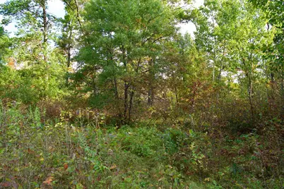 Tract A Hwy 371, Brainerd, MN 56401 - Photo 5