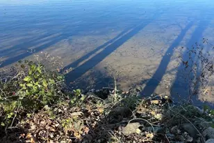 14438 Cedarleaf Point Rd, Brainerd, MN 56401 - Photo 45