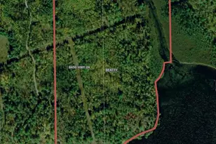 8450 Vermilion Dr, Beatty Twp, MN 55723 - Photo 59