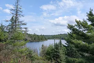 8450 Vermilion Dr, Beatty Twp, MN 55723 - Photo 43